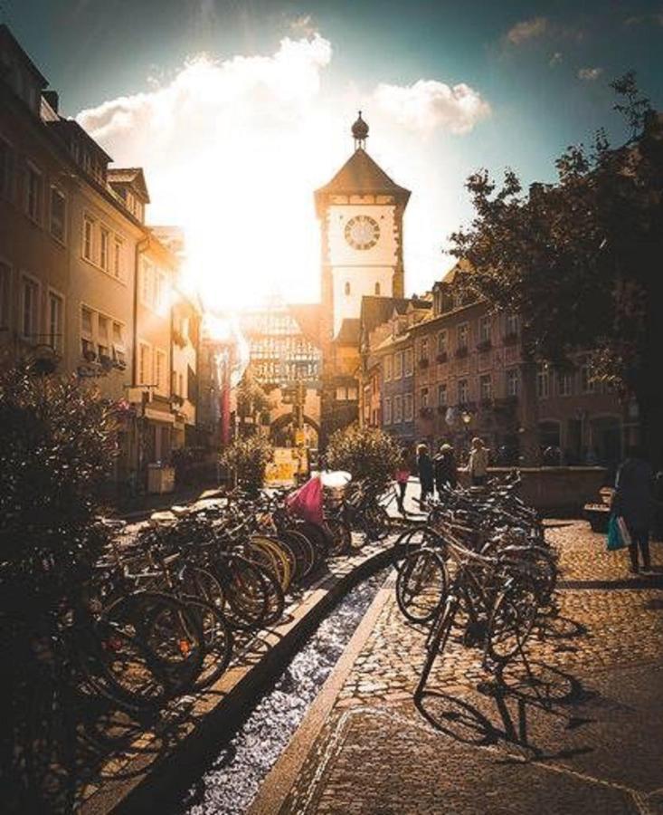 Studio Rome In Der Altstadt Lägenhet Freiburg im Breisgau Exteriör bild